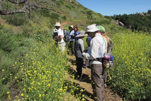 BECOME A CITIZEN SCIENTIST!
