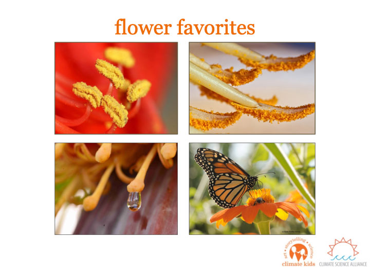 flower favorites