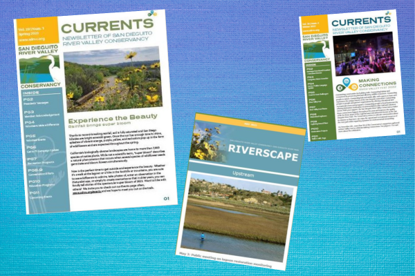 This just in — our latest newsletters