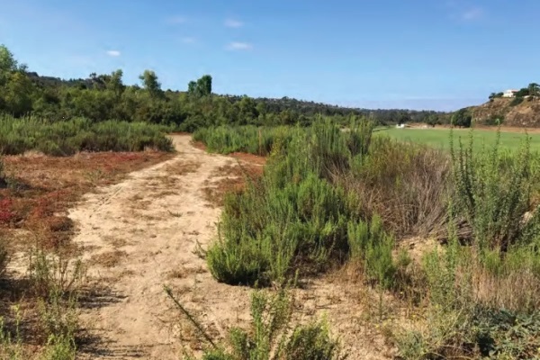 RSF Review: New Coast to Crest trail segment under environmental review