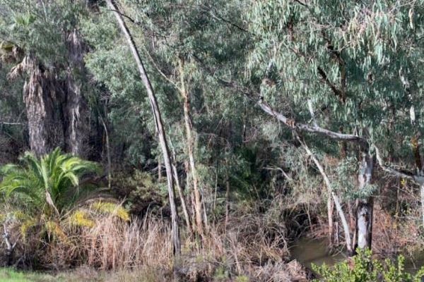 State awards $1.5 million for Rancho Santa Fe project